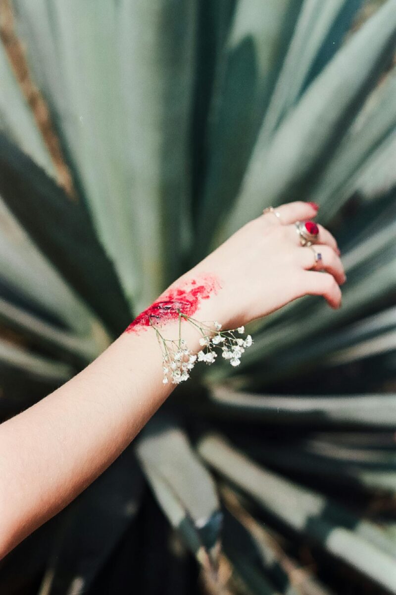 Foto de Jonathan Santiago: https://www.pexels.com/es-es/foto/tatuaje-artistico-en-el-brazo-frente-a-una-planta-de-agave-36961072/