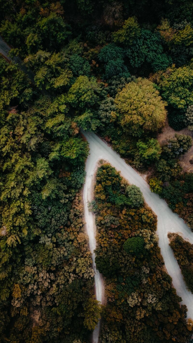 Foto de Burak Evlivan: https://www.pexels.com/es-es/foto/vista-aerea-panoramica-del-sendero-forestal-en-otono-34120977/