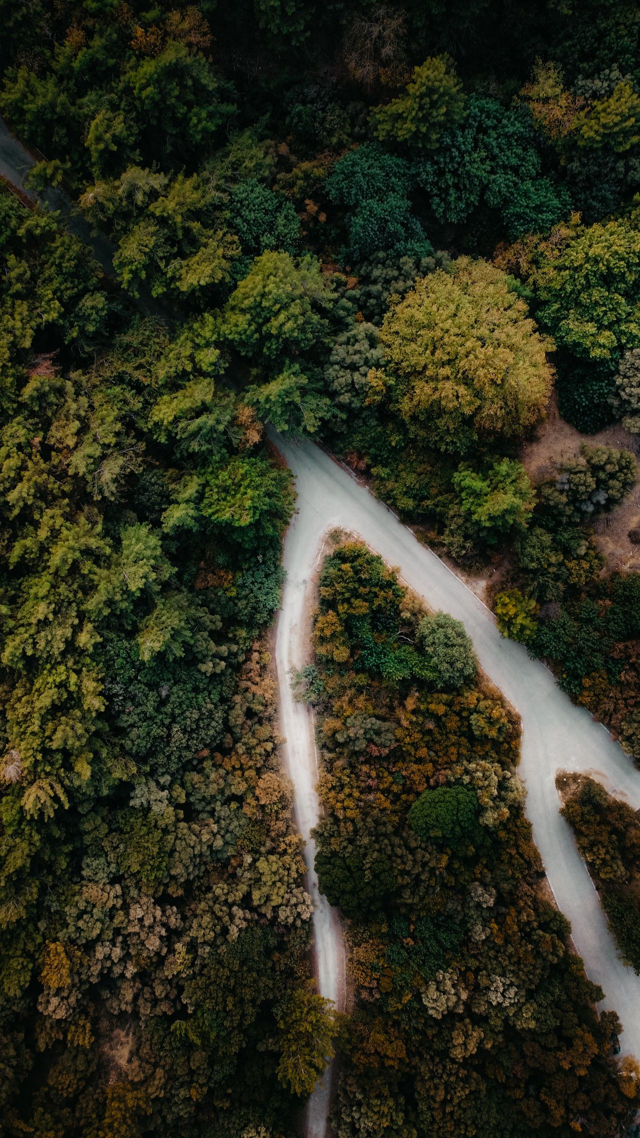 Foto de Burak Evlivan: https://www.pexels.com/es-es/foto/vista-aerea-panoramica-del-sendero-forestal-en-otono-34120977/